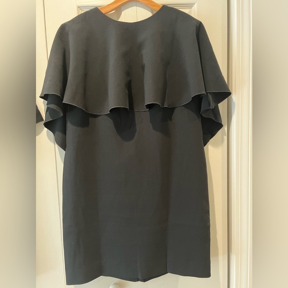 Banana Republic Forte Mini Ruffle Dress - Picture 8 of 8